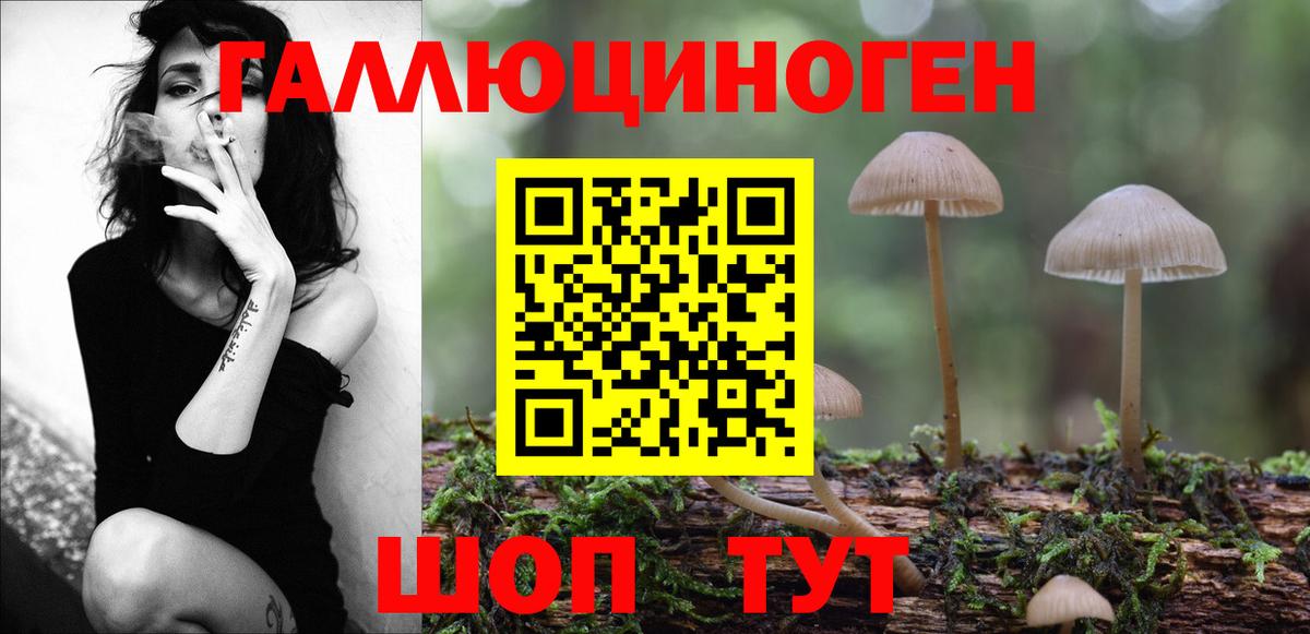 Псилоцибиновые грибы мухоморы Заводоуковск