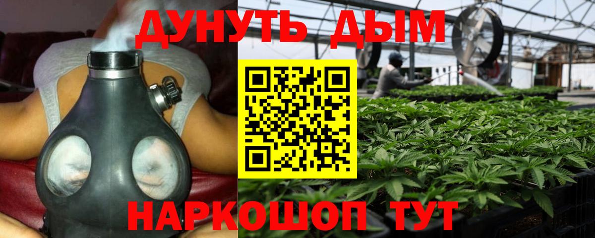 Бошки марихуана MAZAR Заводоуковск